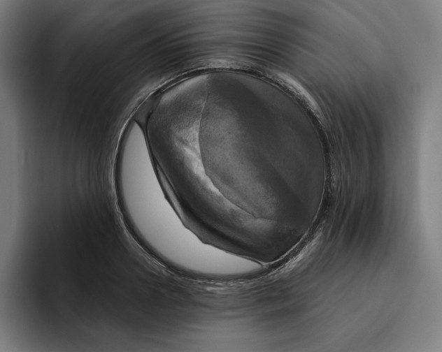 X0000094900938200712271449