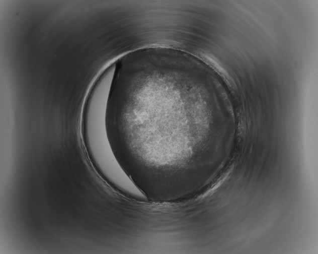 X0000094900940200712271449