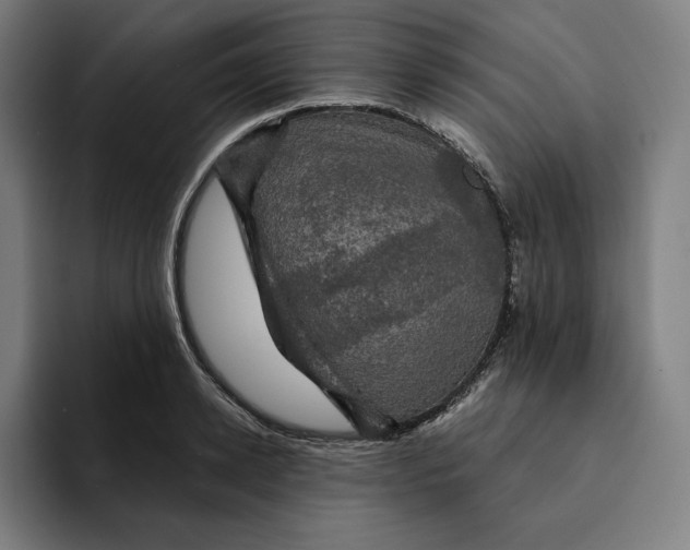 X0000094900942200712271449