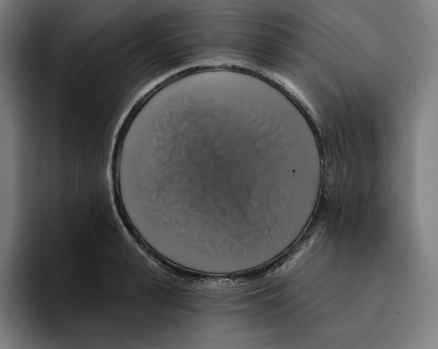 X0000094900943200712271449