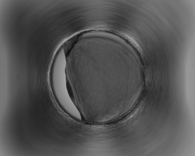 X0000094900944200712271449