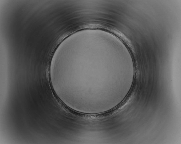 X0000094900945200712271449