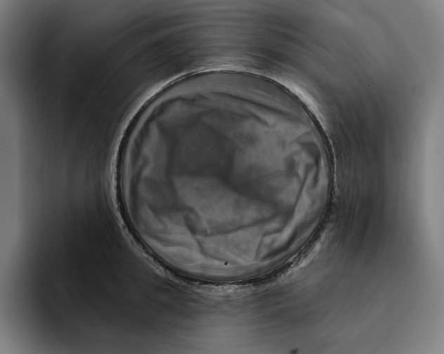 X0000094900949200712271449