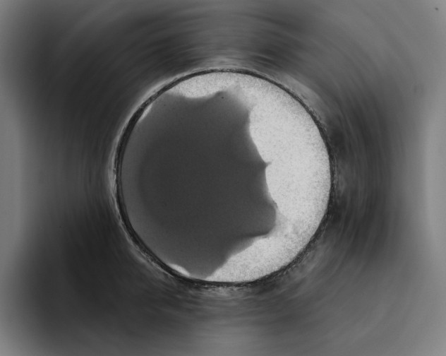 X0000094900950200712271449