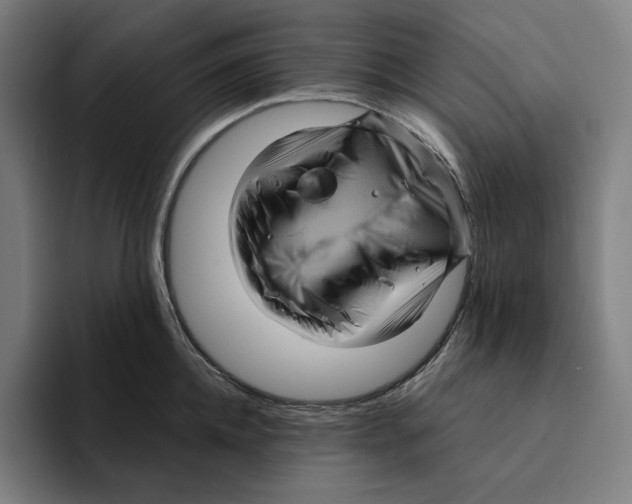 X0000094900952200712271450