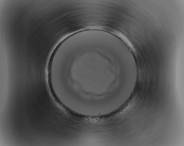 X0000094900955200712271450