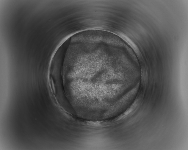 X0000094900956200712271450