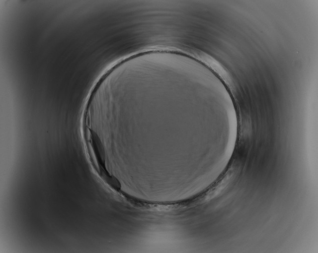 X0000094900958200712271450