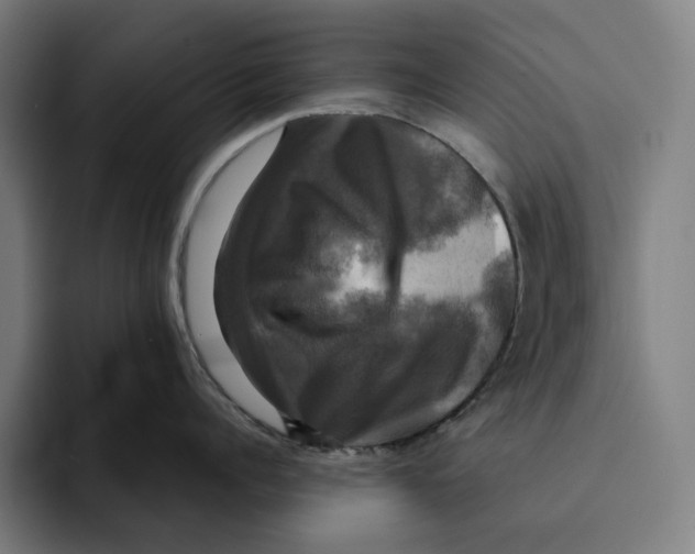 X0000094900960200712271450