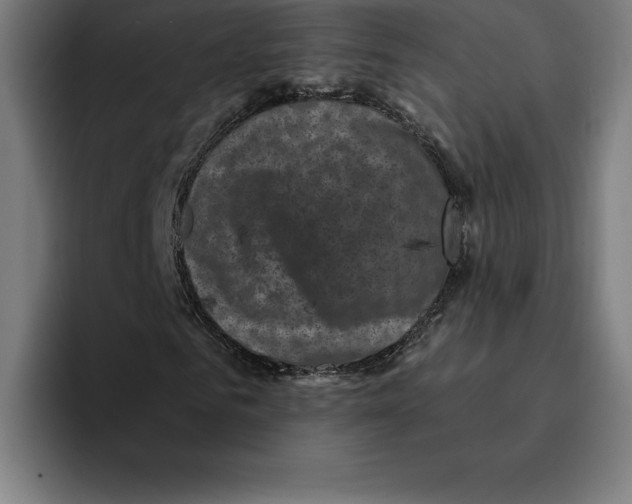 X0000094900961200712271449