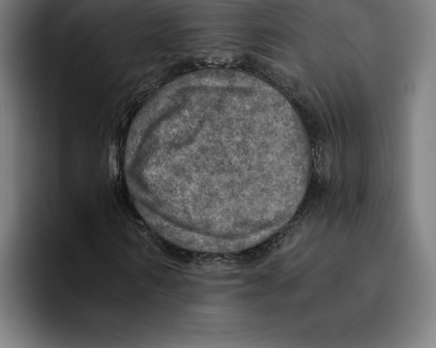 X0000094900962200712271449