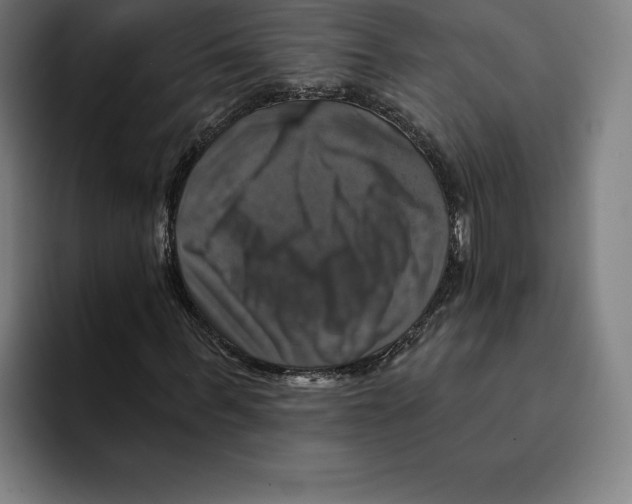 X0000094900963200712271449