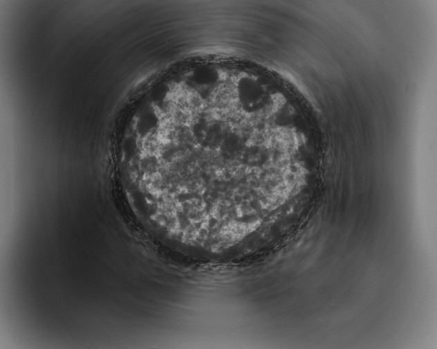 X0000094900967200712271449