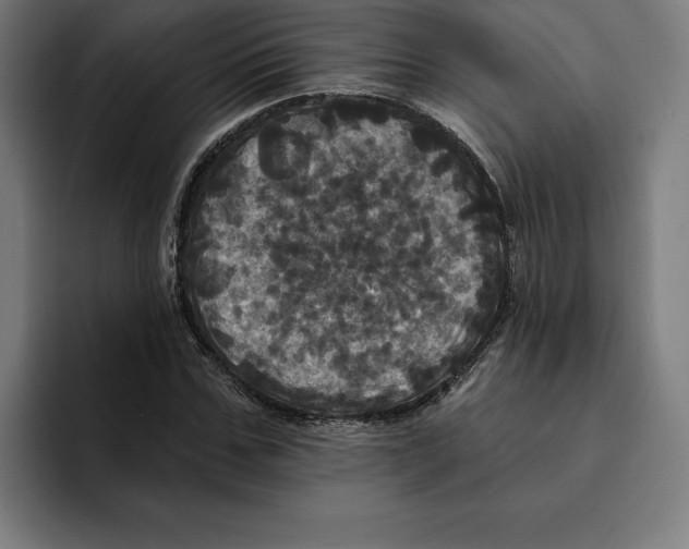 X0000094900971200712271449