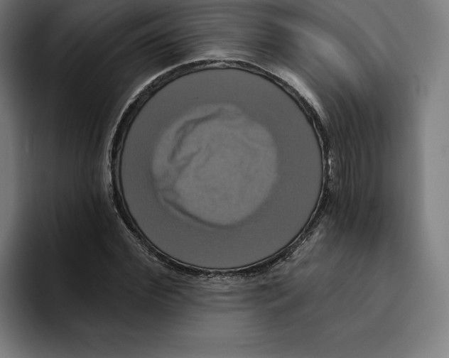 X0000094900972200712271449