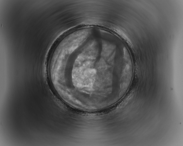 X0000094900976200712271449