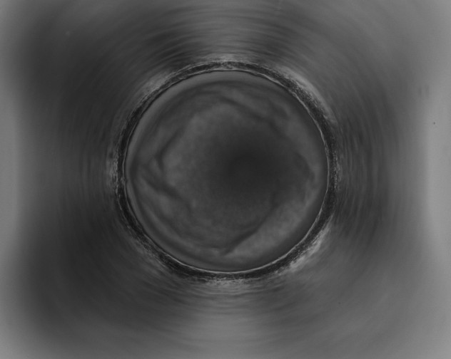 X0000094900977200712271449