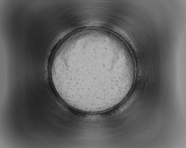 X0000094900978200712271449