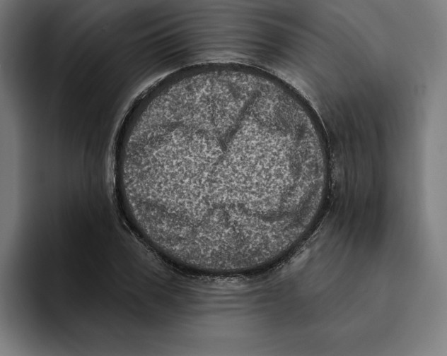 X0000094900979200712271449