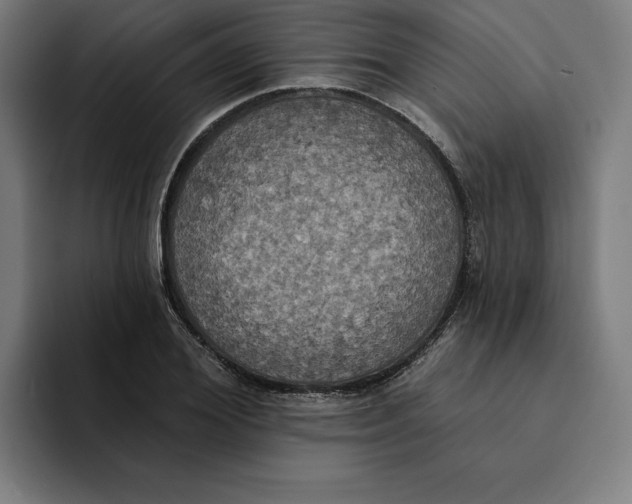 X0000094900980200712271449