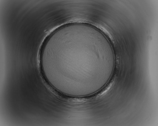 X0000094900981200712271449