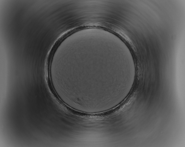 X0000094900984200712271449