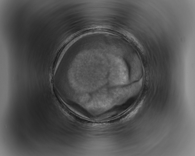 X0000094900985200712271449