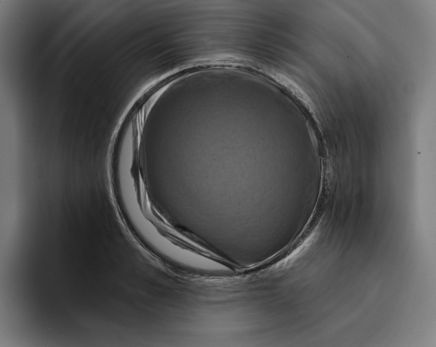 X0000094900989200712271449