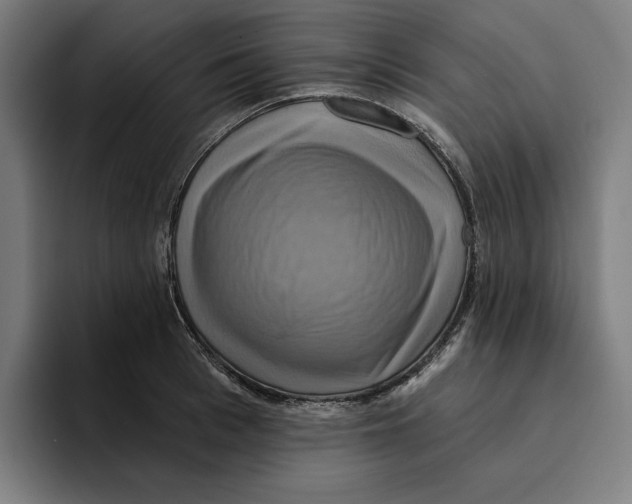 X0000094900993200712271449