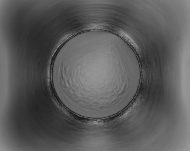 X0000094900994200712271449