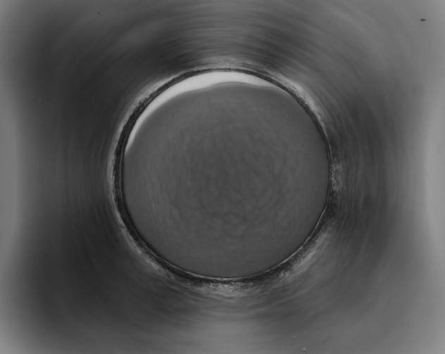 X0000094900995200712271449