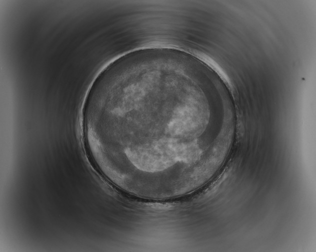 X0000094900996200712271449