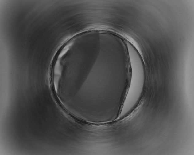 X0000094900997200712271449