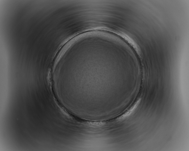 X0000094901001200712271448