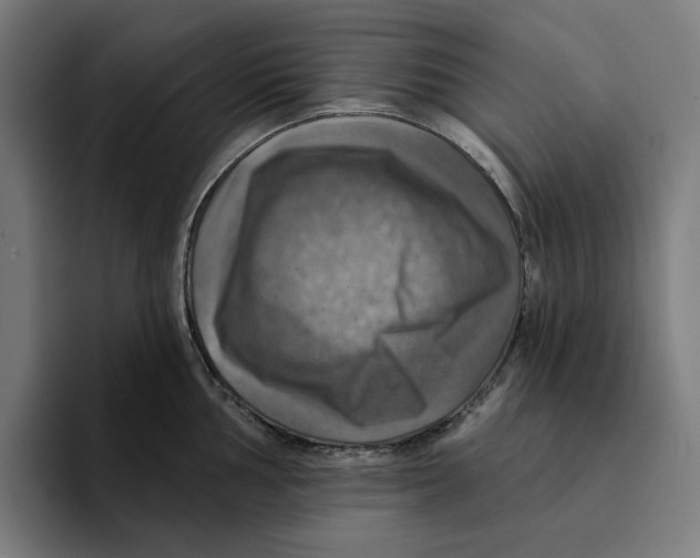 X0000094901002200712271448