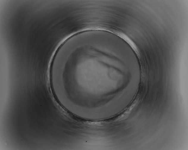 X0000094901004200712271448