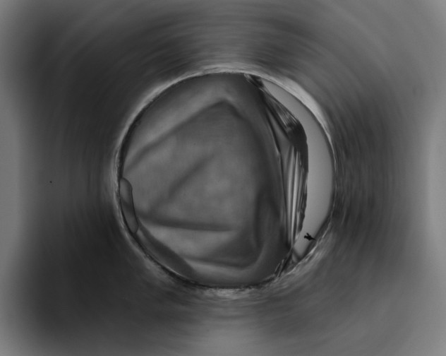 X0000094901005200712271448