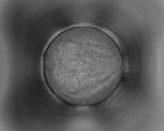 X0000094901006200712271448