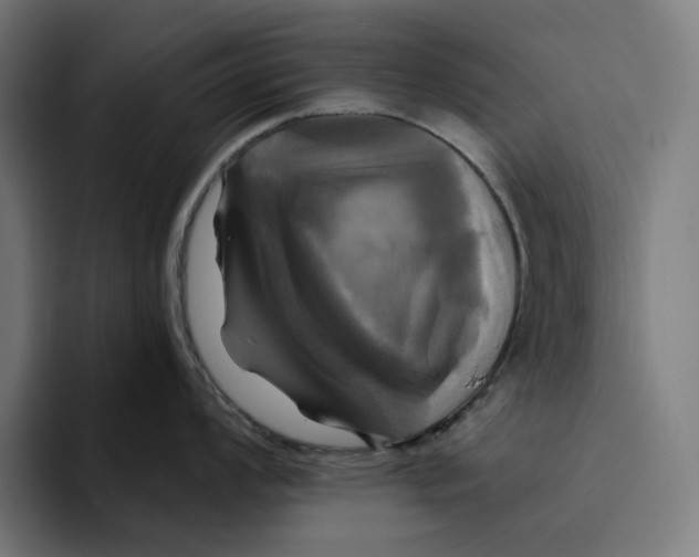 X0000094901008200712271448