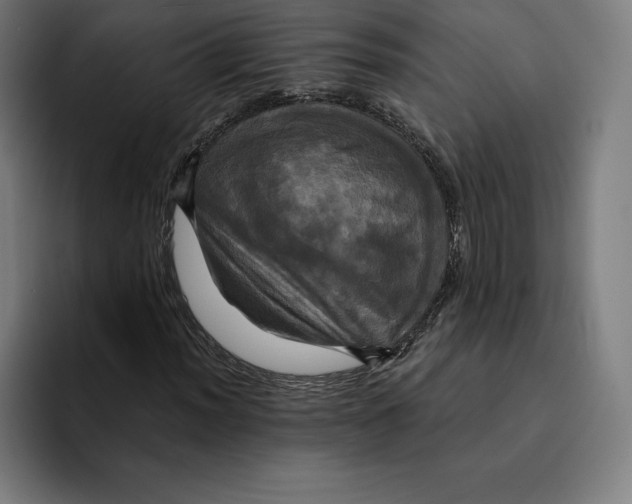 X0000094901012200712271448