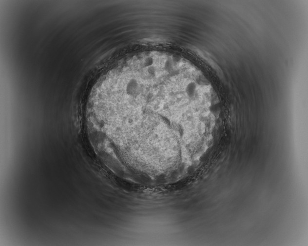 X0000094901015200712271448