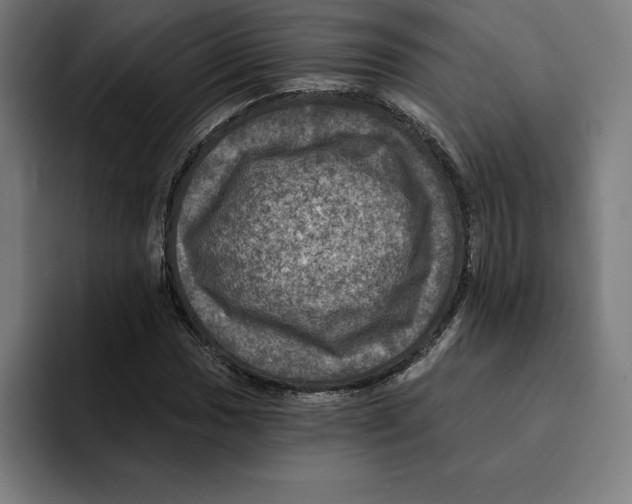 X0000094901017200712271448