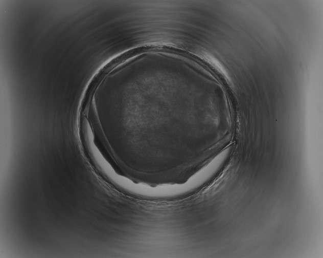 X0000094901020200712271448