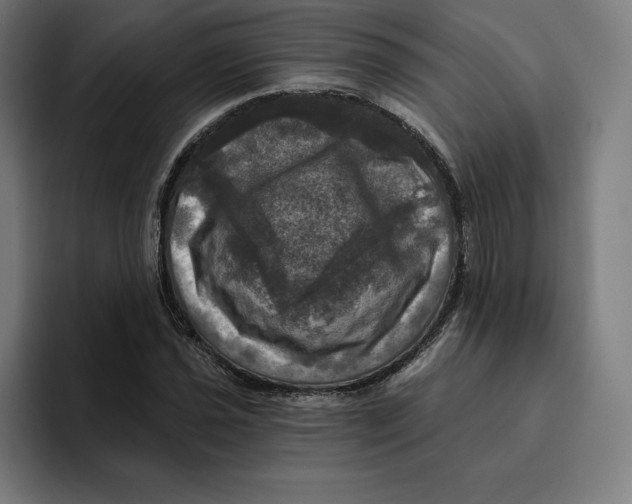 X0000094901021200712271448