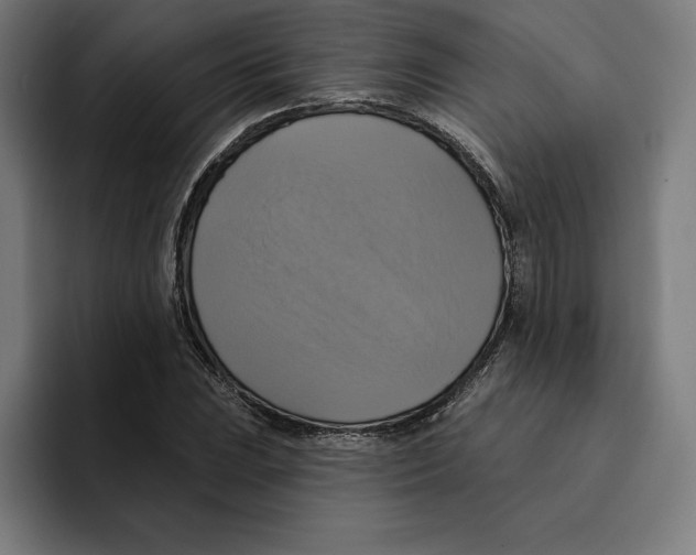 X0000094901023200712271448