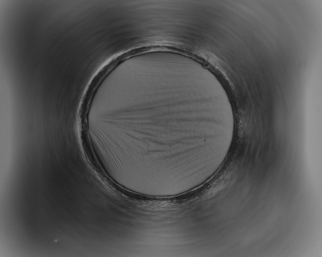 X0000094901024200712271448