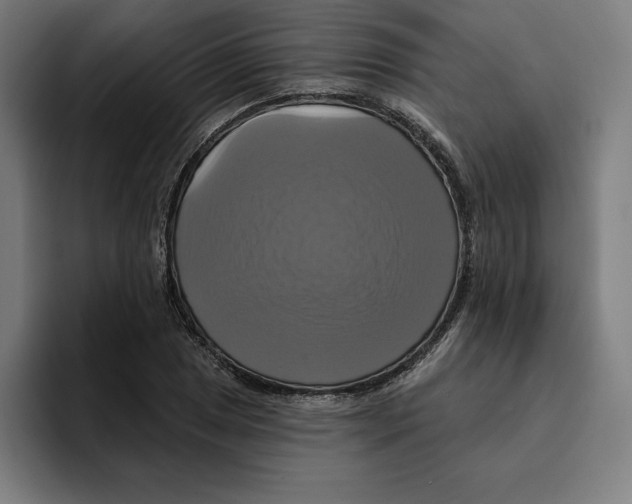 X0000094901025200712271448