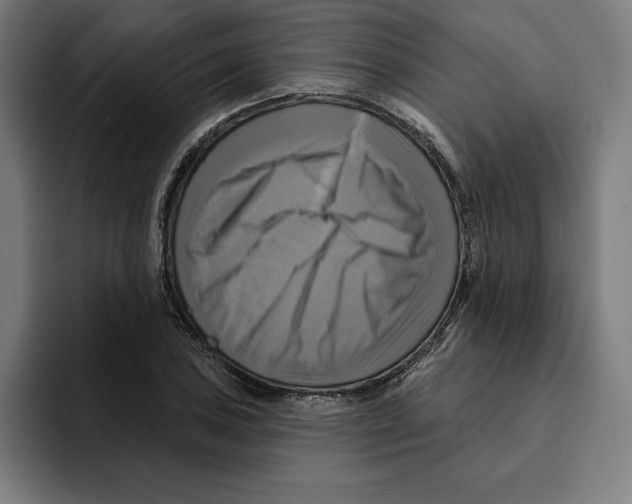 X0000094901027200712271448