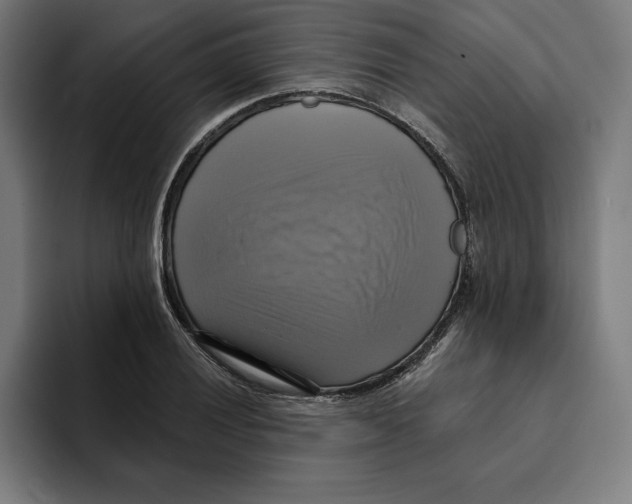 X0000094901028200712271448