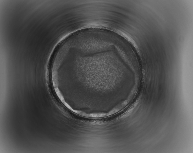 X0000094901029200712271448